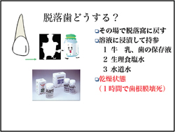 脱落歯どうする?