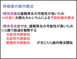 再植歯の歯内療法