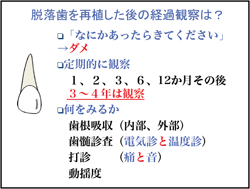 脱落歯を再植した後の経過観察は?