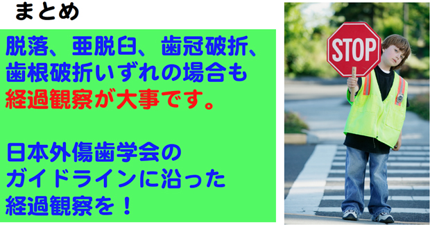 脱落、亜脱臼、歯冠破折、歯根破折いずれの場合も経過観察が大事です。