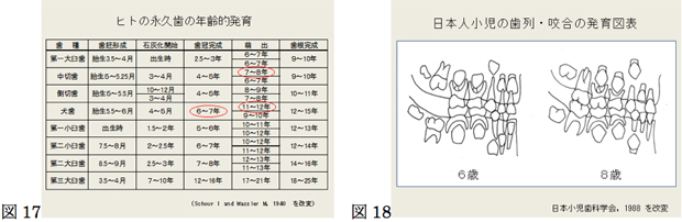 図17，18