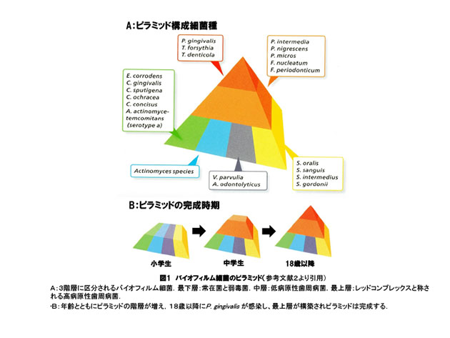 第69回学術研修会