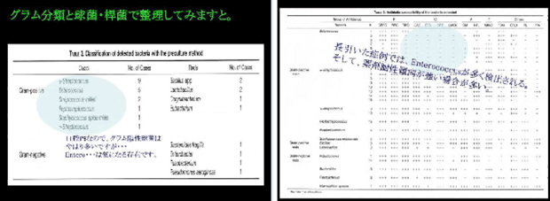 難治性感染根管とその原因菌