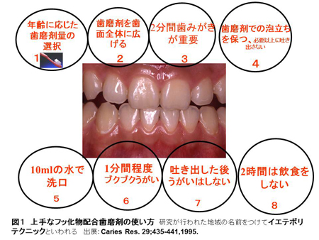 図1　上手なフッ化物配合歯磨剤の使い方