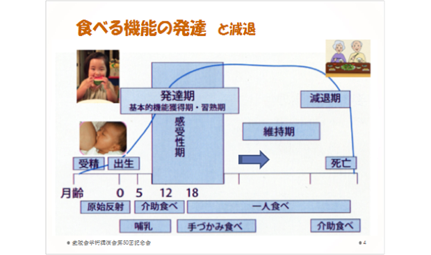 食べる機能の発達と減退