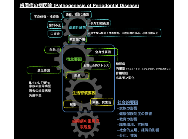 歯周病の病因論