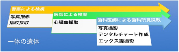 犠牲者の身元確認作業における1体の遺体に対する多職種連携の模式図