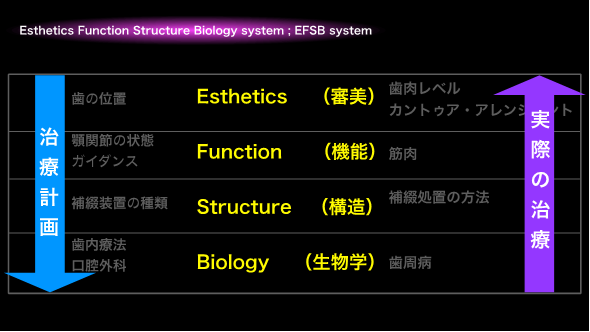 esthitic function structure biology sistem