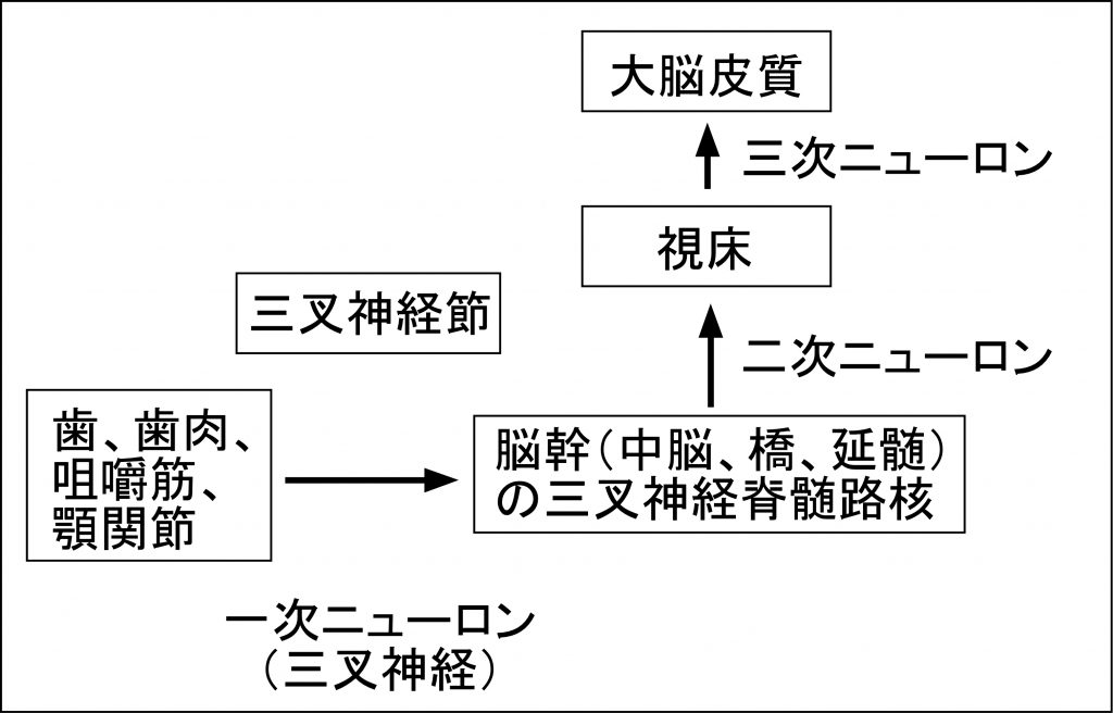 （図１）