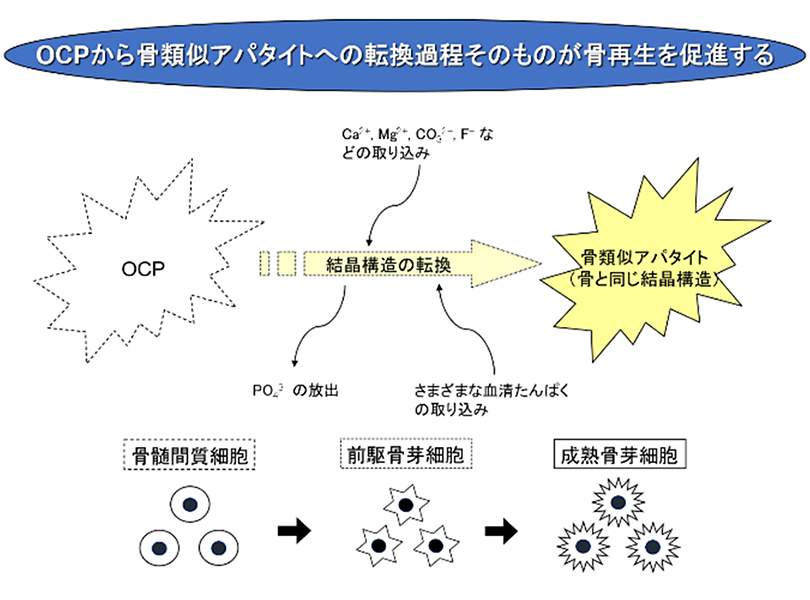 ボナーク®